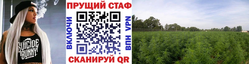 Купить наркоту Волгодонск Кокаин  A PVP  Бутират  ГАШИШ  Канабис 