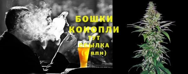 стаф Аркадак