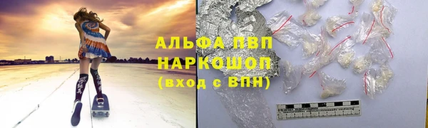 стаф Аркадак