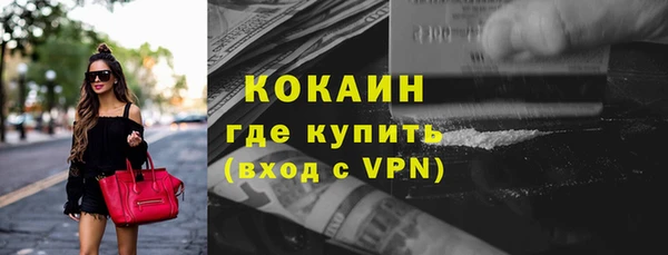 стаф Аркадак