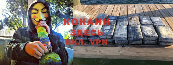 индика Армянск