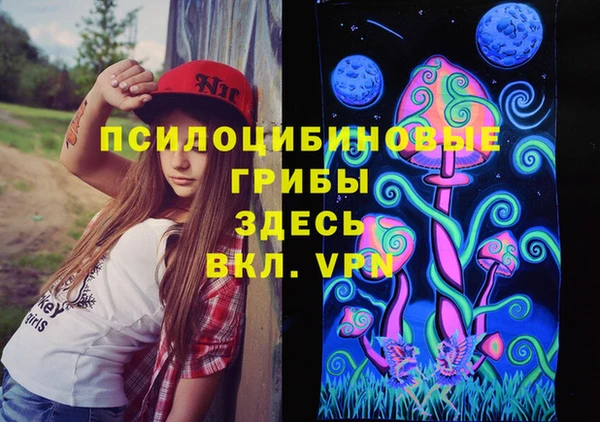 стаф Аркадак