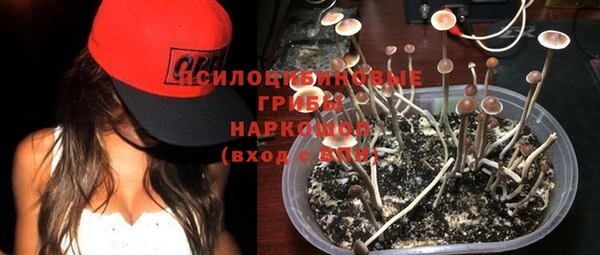 ECSTASY Алексин