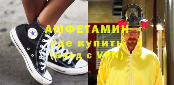 стаф Аркадак