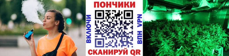 Шишки марихуана AK-47 Волгодонск